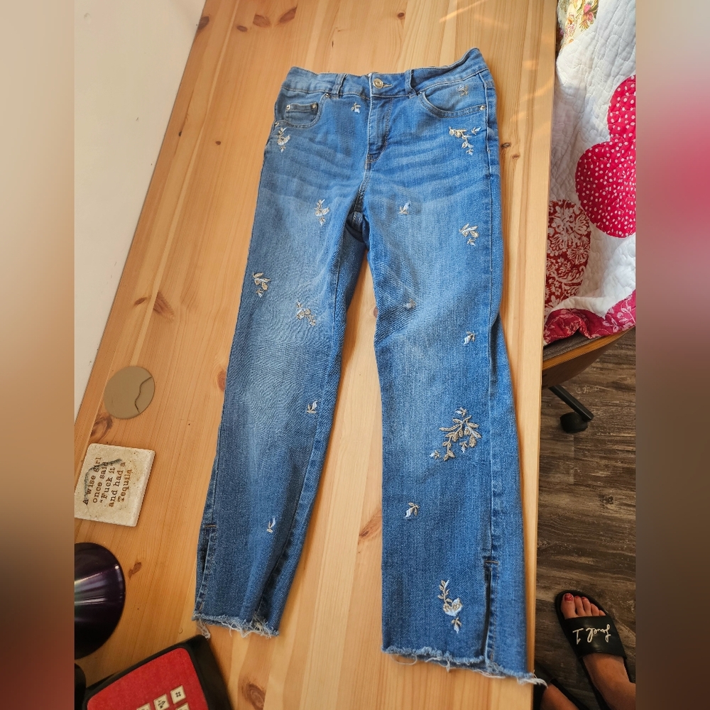 Embroidered Ankle Pants in Size 5
